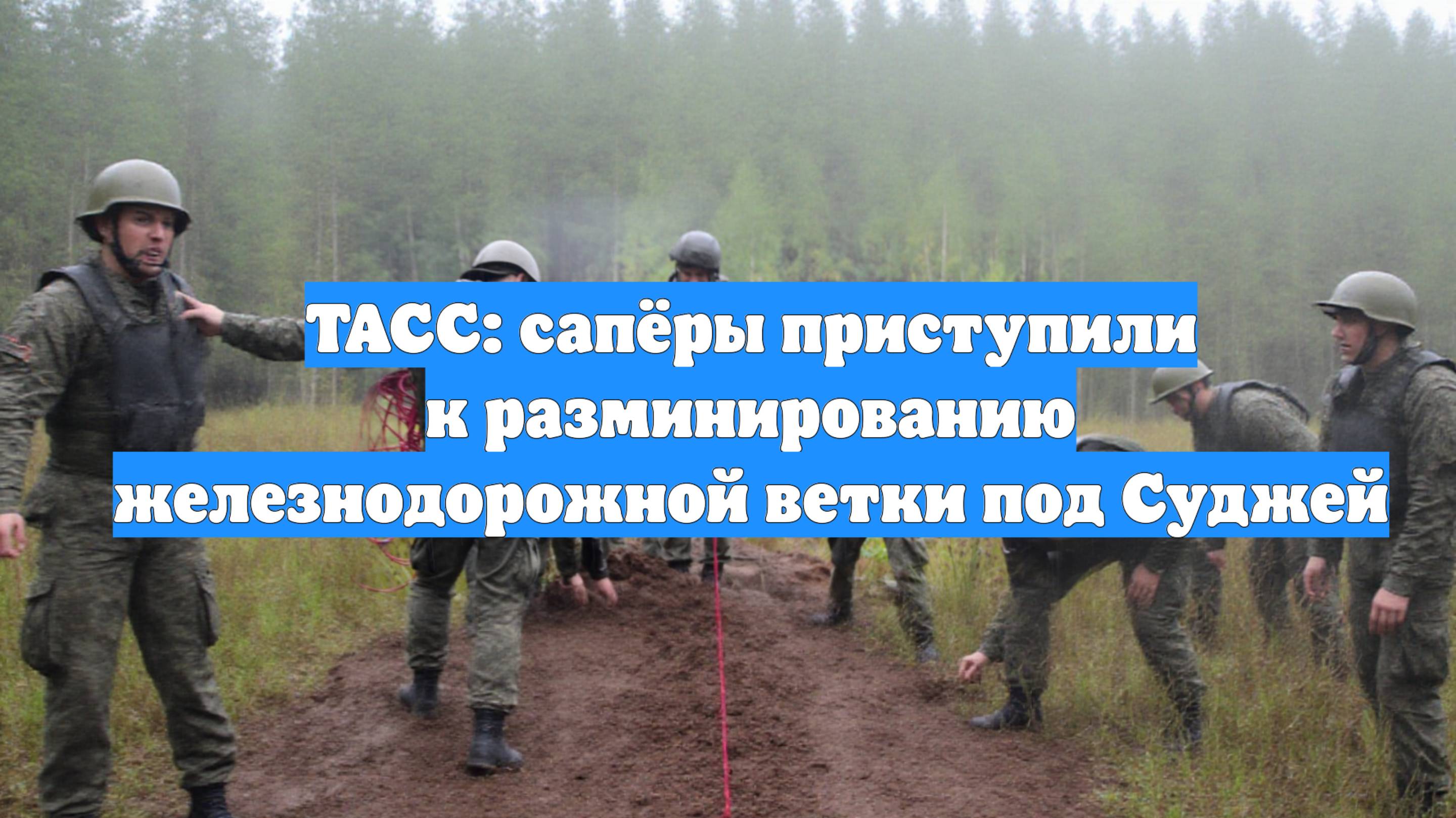 ТАСС: сапёры приступили к разминированию железнодорожной ветки под Суджей