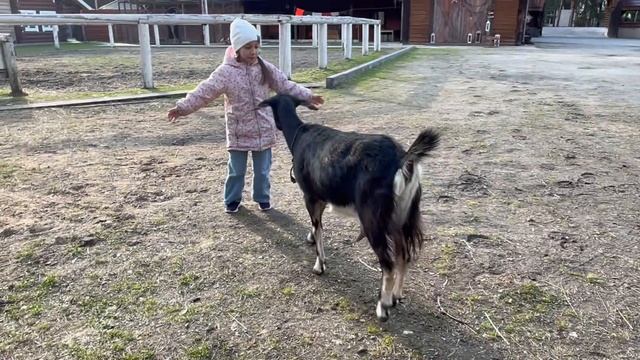 Семейный отдых в эко отеле клуб Барин.