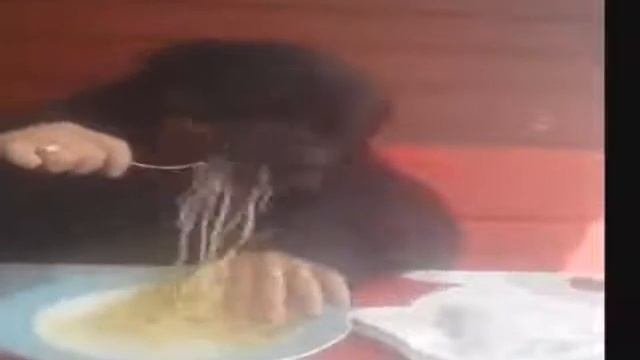 Человек с головой собаки ест макароны