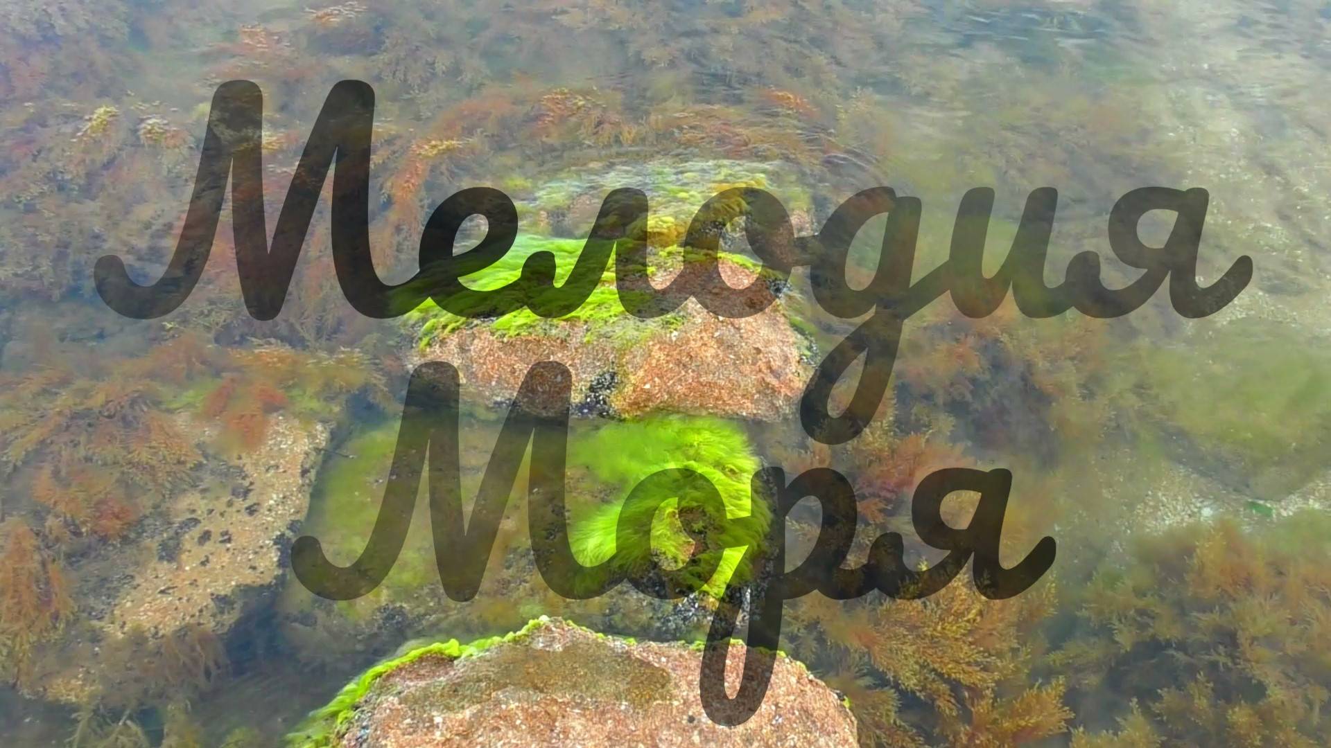 Мелодия моря