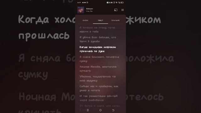 Бабочки