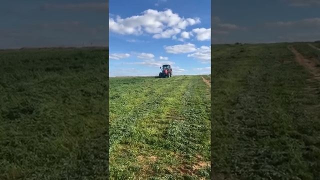 Енотаевка