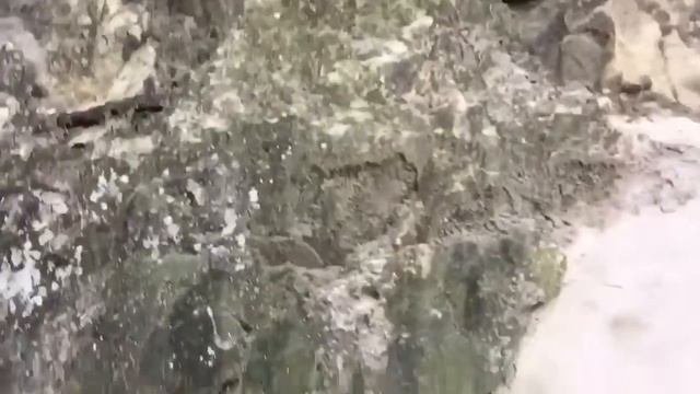 Близ горы Кармель
