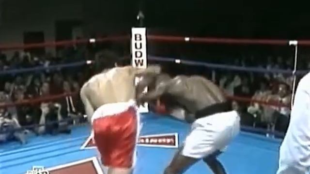 Ночь нокаутов 24 {combat-mma.ru fight-arts.com}