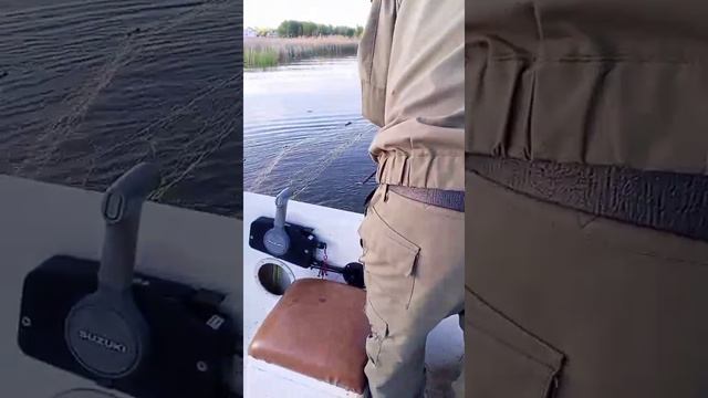 Акция нерестилище