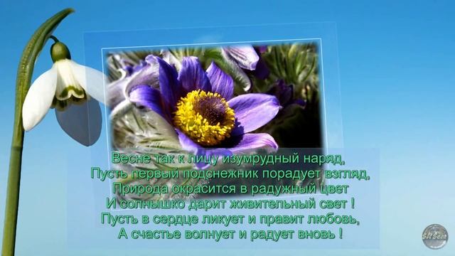 Салют весне
