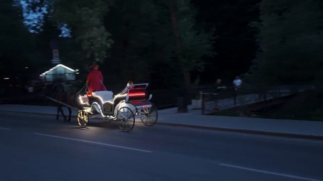 Белокуриха ночная  , Алтайский край .Алтай