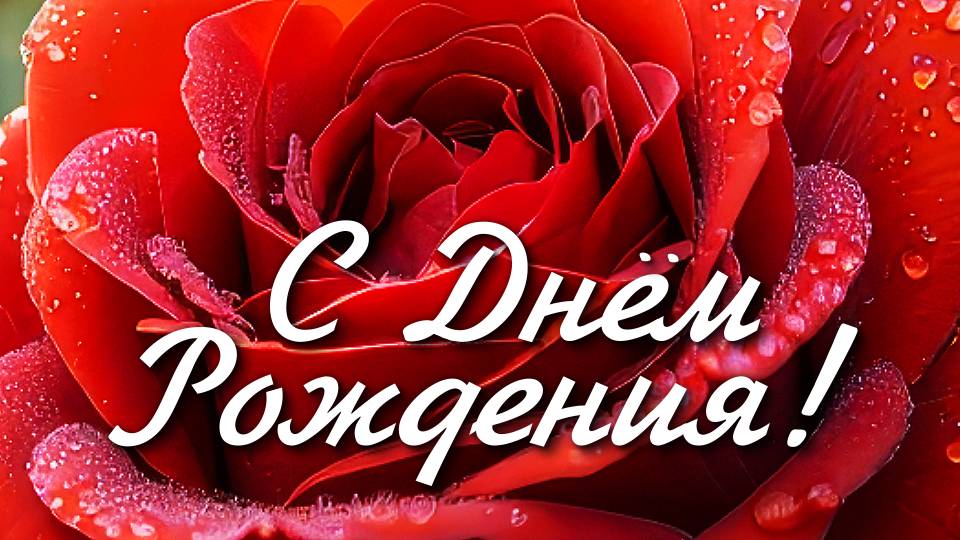 Красивейшее поздравление с днём рождения!
