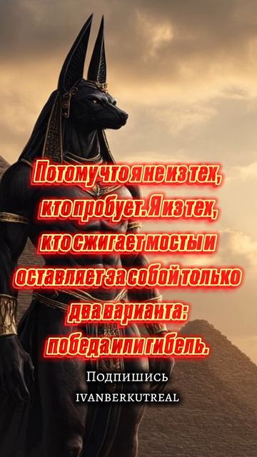 Подпишись