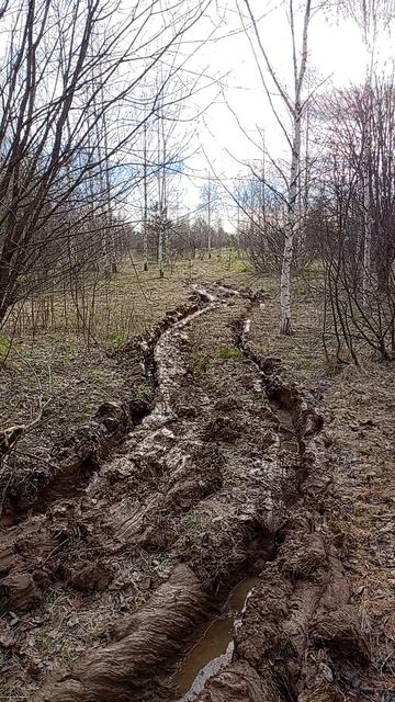 Чуть не застряли