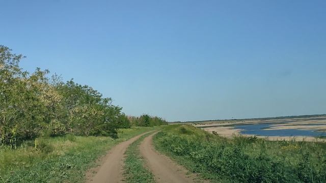 Полевые дороги 24.05.2025 #4