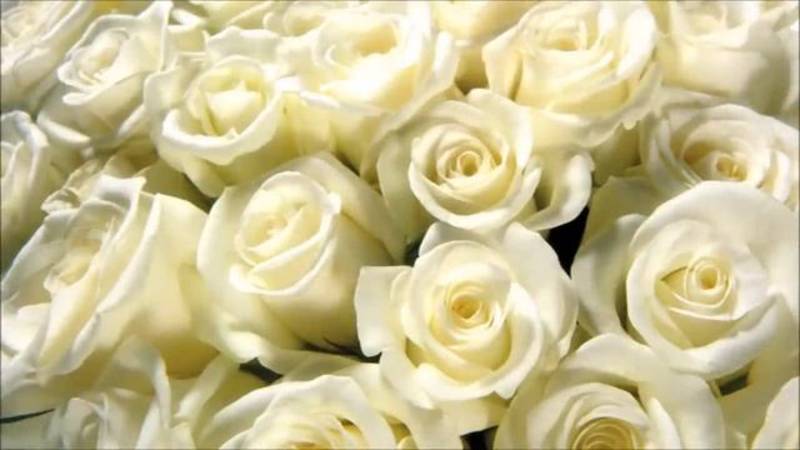 Ирина Аллегрова - С днём рождения🎁