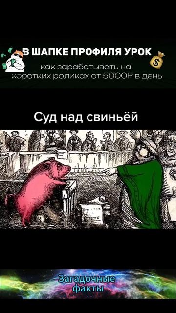 Судили СВИНЬЮ!!!