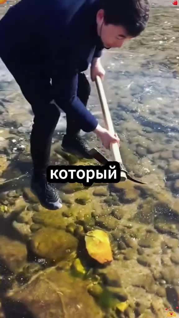 #наука #интересно #микромир #микроскоп #подмикроскопом