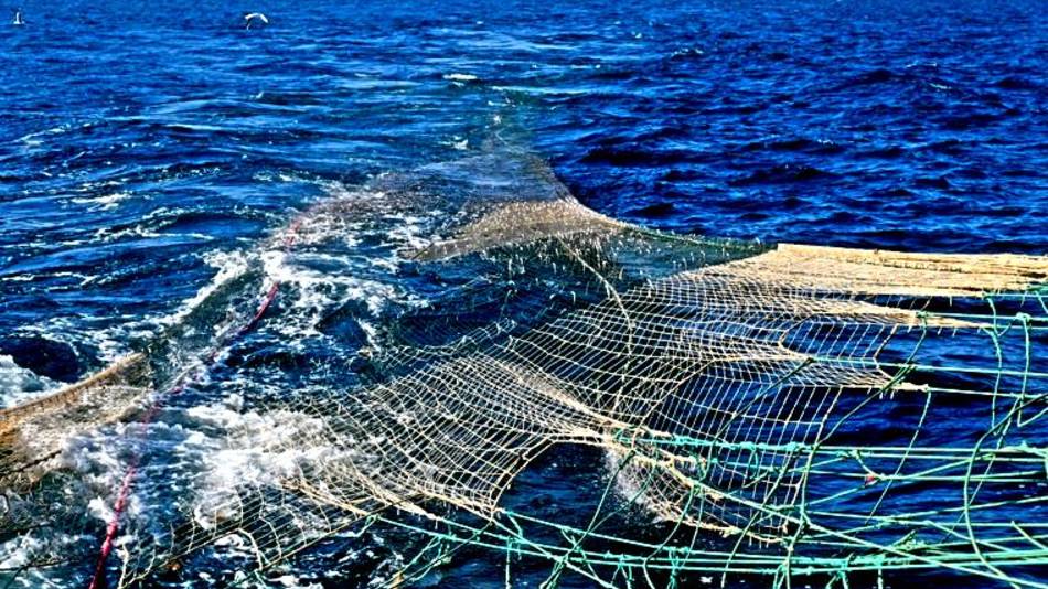 Европа поставила Украине старые рыболовные сети вместо оружия