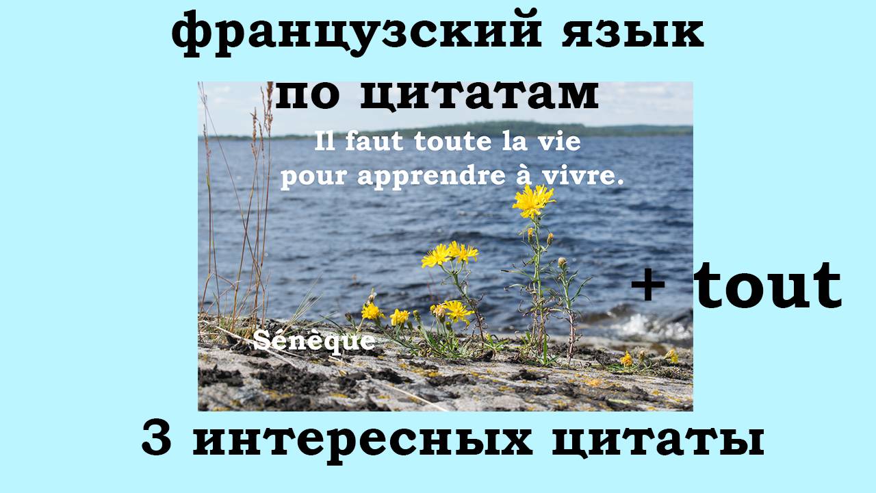 Французский язык по цитатам, 3 интересных цитаты