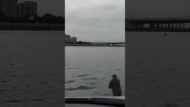 Яхтенный Спорт в Северной Столице!