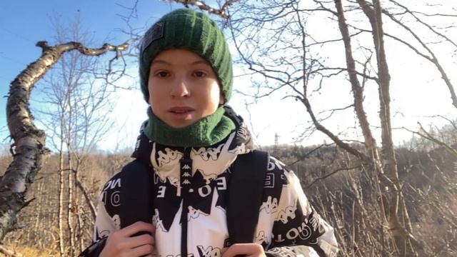 Октябрьский дневник орнитолога. Кто ныряет в бурной р?