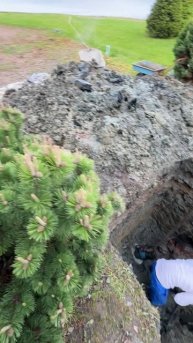 Финский залив