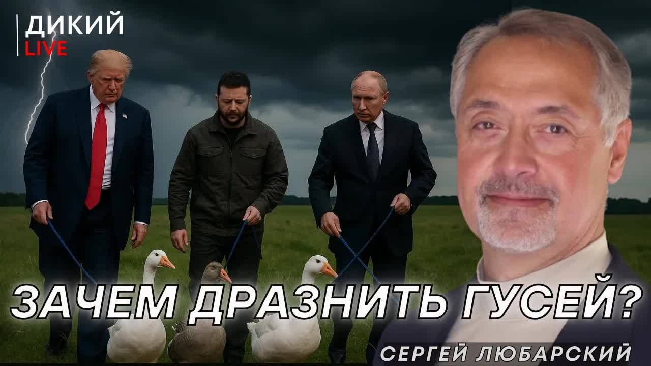 Задевая нерв. Сергей Любарский.
