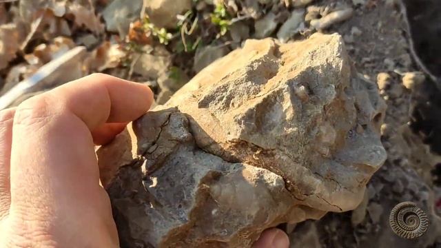 Берриас горного Крыма ч.2