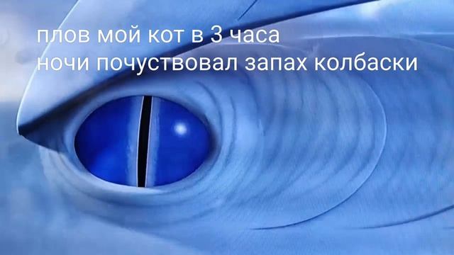мой кот