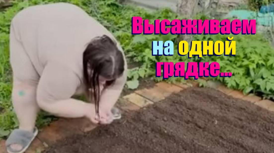 У ЛЮБЫ ДВА ЖЕНИХА . ЗАВИДУЮ МОЛЧА ......