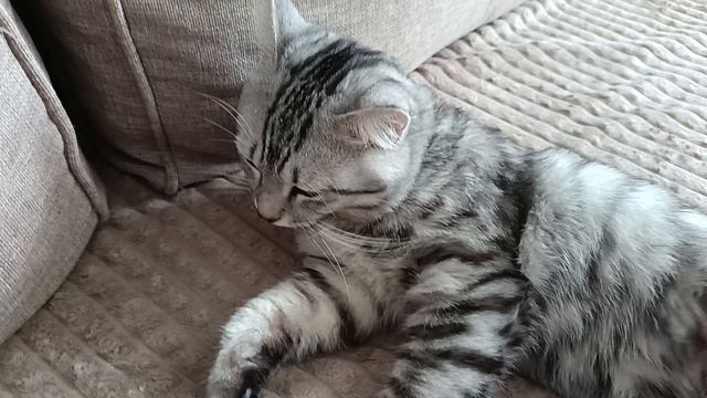 Какой милашка!!! 😍😍😍