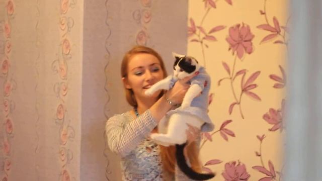 Одежда для животных