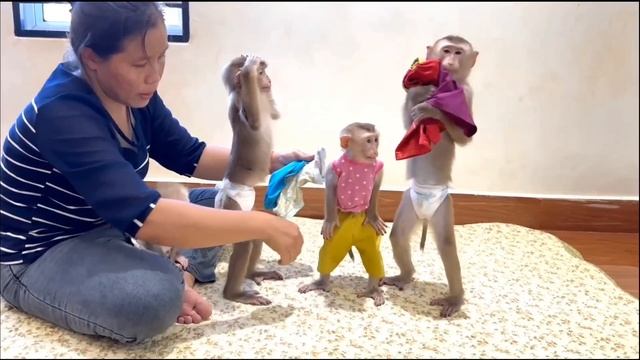 Одевать обезьянок ЛЮДЕЙ ПОСМЕШИТЬ Умные малыши