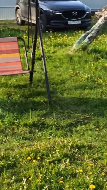 VID_20250522_184502.mp4