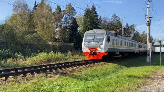 Электропоезд ЭД4М-0474 пл.Хлюпино до ст.Дмитров. 29.09.2023.