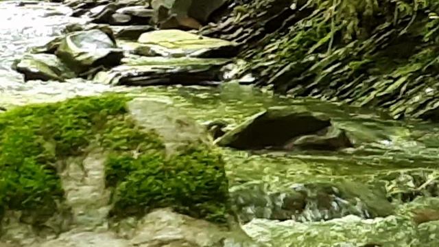 Красивые горы и реки Дагестана, исток реки рубас, чистая прозрачная вода течёт в горах Дагестана #