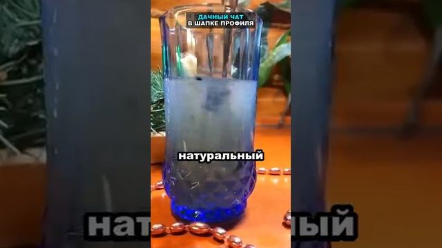 Это лучший самодельный укоренитель. Любой черенок дас