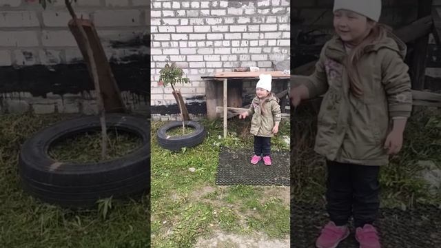 Высаживаем рассаду Астры игольчатой (однолетняя) #ЯжеВика