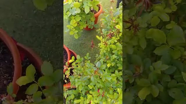 Мы пытаемся выйти в эфир.