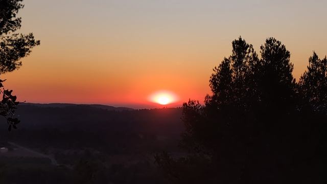 Buenos días.