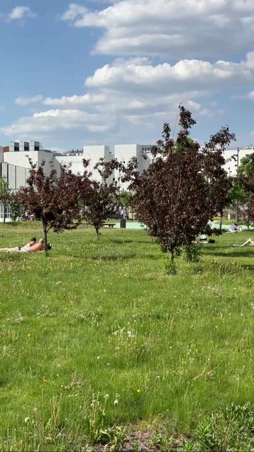 ☀️Москвичи открыли сезон солнечных ванн☀️