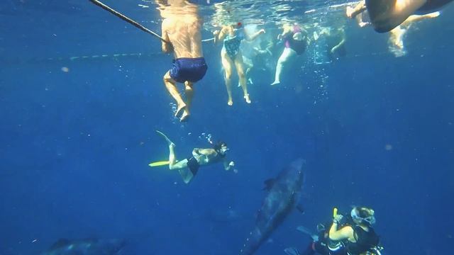 Туристическая Испания побережье Costa Dorada: плаванье с ТУ