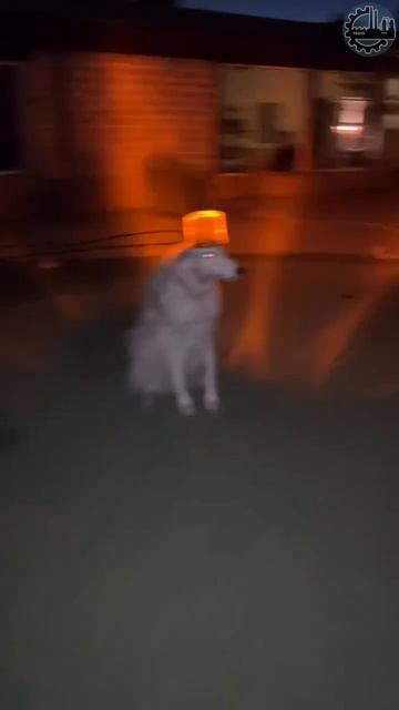 😮🚨 Будущее наступило, новые технологии уже в МЧС