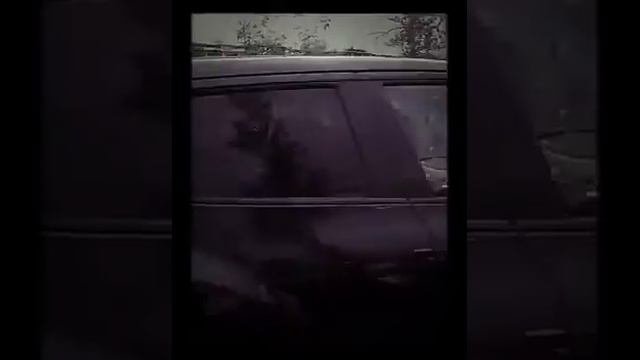 После урагана на Молодогвардейской. Москва