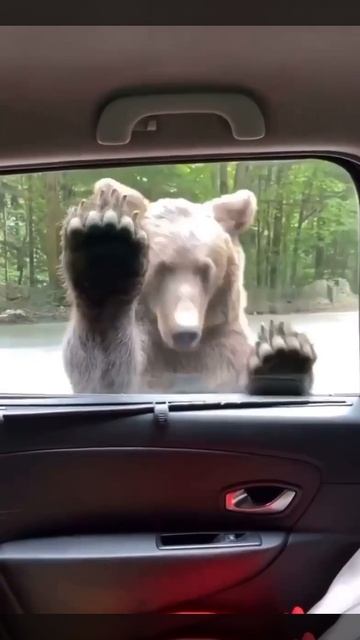 Никаких резких движений