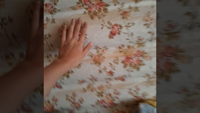 Румтур по даче