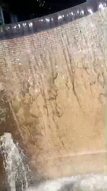 1000100833.mp4