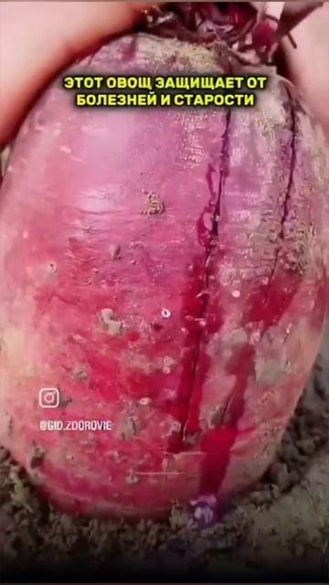 Самый полезный овощи от болезней