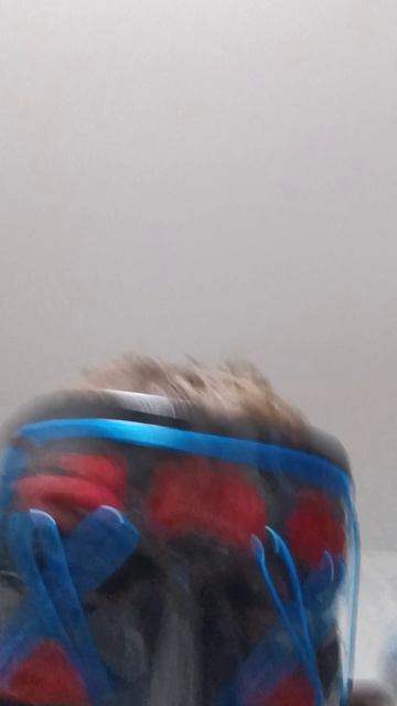 улицах на гаите