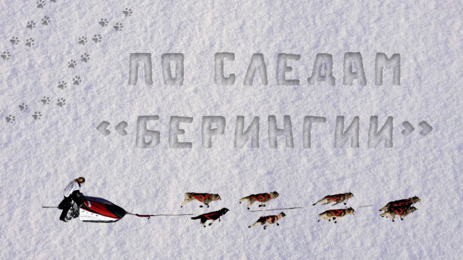 По следам «Берингии». Алексей Попов