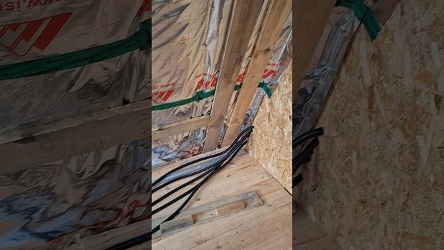 1000024543.mp4 (Собака смотрит на электроснабжение нового дома А-фрейм)