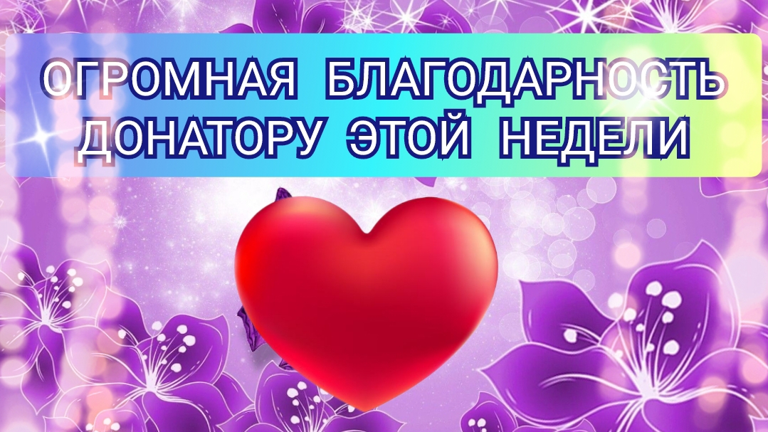 ОГРОМНАЯ БЛАГОДАРНОСТЬ ДОНАТОРУ ЭТОЙ НЕДЕЛИ