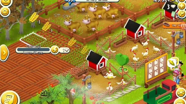 ферма Hay Day